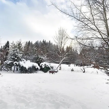 Ferienhaus Nurdachhaus Sauerland Kirchhundem